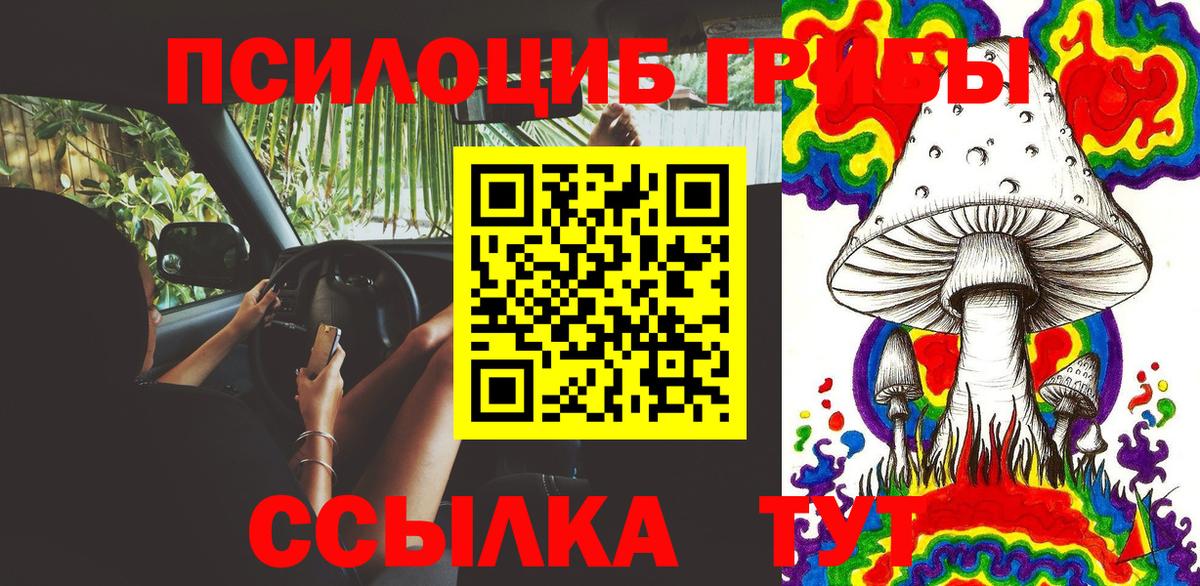 Псилоцибиновые грибы Cubensis Рузаевка