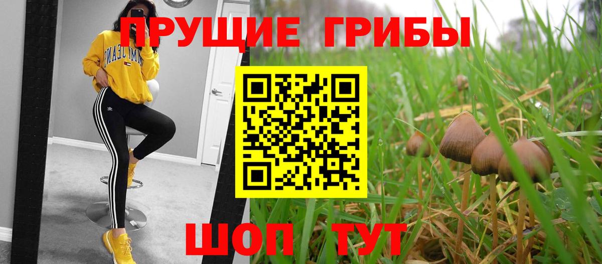 купить наркоту  Вход с VPN  Псилоцибиновые грибы Psilocybe  Рузаевка  Галлюциногенные грибы MAGIC MUSHROOMS 